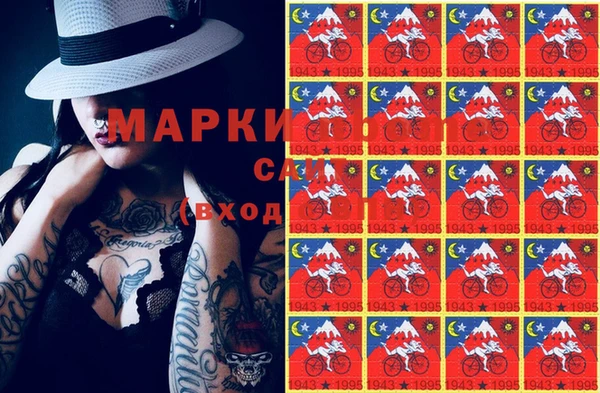 гашик Майский
