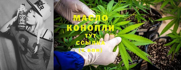 сатива Медногорск