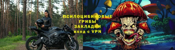 ECSTASY Лиски