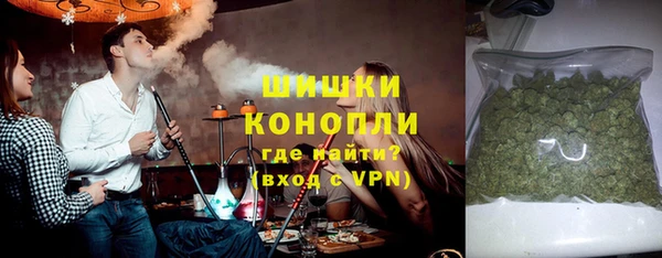твердый Мегион