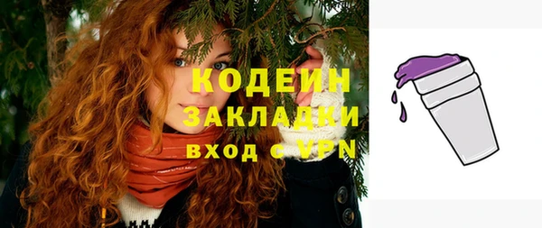 гашик Майский