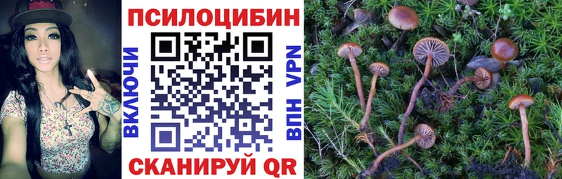 Псилоцибиновые грибы MAGIC MUSHROOMS  как найти   МЕГА как зайти  Лысково 
